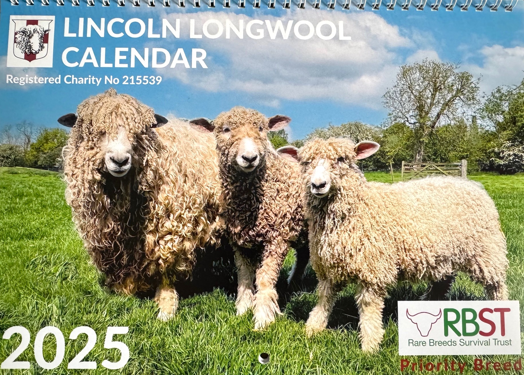 longwool news